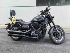 QJMOTOR 600 550 cc - фото 4
