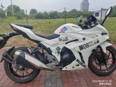 Haojue Suzuki GSX250R - фото 4