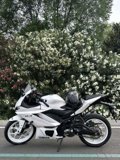 Yamaha YZF-R3 320 cc - фото 6