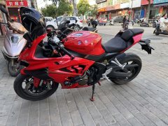 QJMOTOR 800 - фото 4