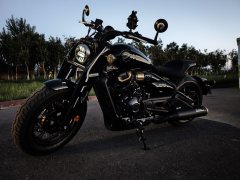 Cyclone RA600 560 cc - фото 4
