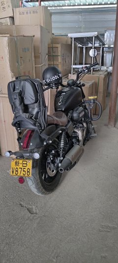 QJMOTOR 300 - фото 1