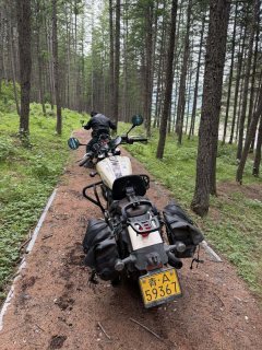 Cyclone RA401 400 cc - фото 1
