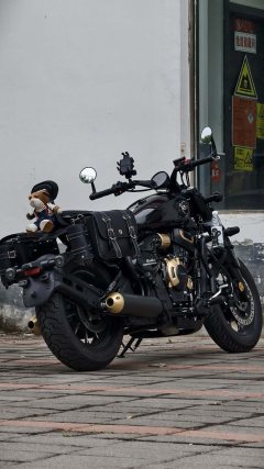 Cyclone RA600 560 cc - фото 1