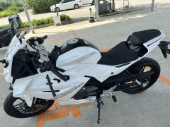 Cyclone RC250 - фото 2
