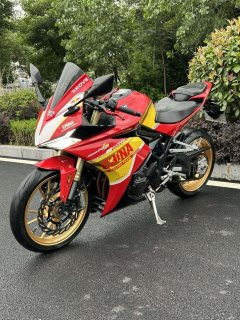 Kayo 321RR 320 cc - фото 3