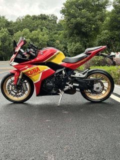 Kayo 321RR 320 cc - фото 4