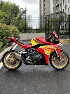 Kayo 321RR 320 cc - фото 5