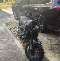 Benelli Leoncino 500 - фото 1