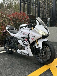 QJMOTOR SRK 250 - фото 1
