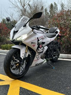 QJMOTOR SRK 250 - фото 3