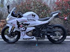 QJMOTOR SRK 250 - фото 4