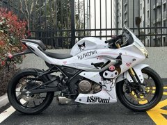 QJMOTOR SRK 250 - фото 5