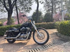SHINERAY 12,200 1200 cc - фото 11