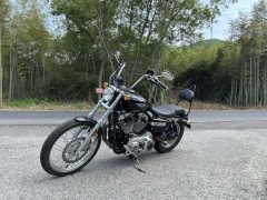 SHINERAY 12,200 1200 cc - фото 4