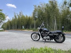 SHINERAY 12,200 1200 cc - фото 5