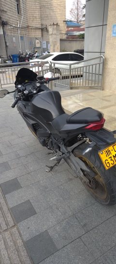 Nuoma Phantom 255S 250 cc - фото 2