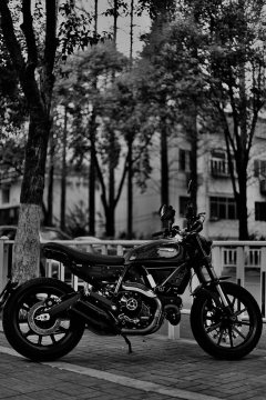Ducati Scrambler 800 - фото 3