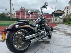 Harley-Davidson Fat Boy 1860 cc - фото 7