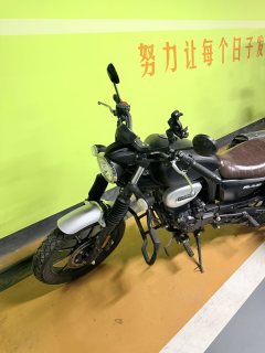 Cyclone RA2 250 cc - фото 2