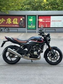 Zhangxue Motorcycles 500F - фото 2