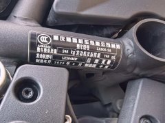 Voge DS800X - фото 8