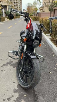 Indian Scout 1133 cc - фото 6