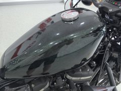 Harley-Davidson Iron883 - фото 6
