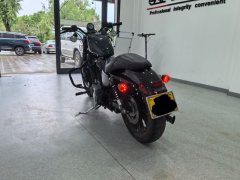 Harley-Davidson Iron883 - фото 7