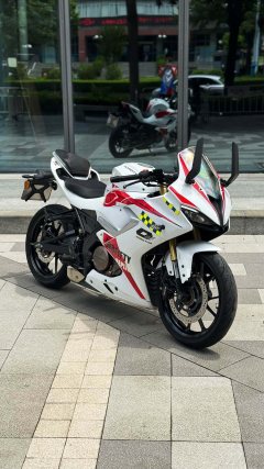 QJMOTOR 250 - фото 2