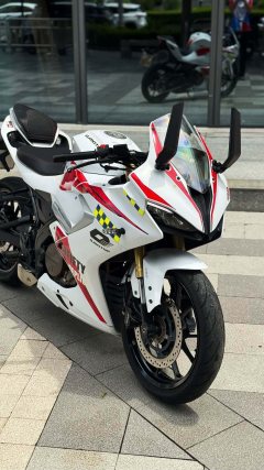 QJMOTOR 250 - фото 3