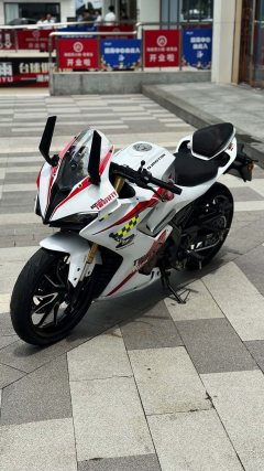 QJMOTOR 250 - фото 5