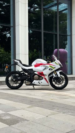 QJMOTOR 250 - фото 6