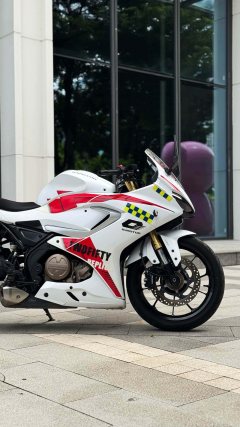 QJMOTOR 250 - фото 7