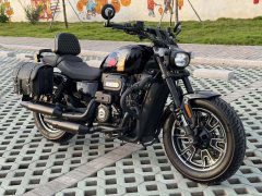QJMOTOR 250 - фото 3