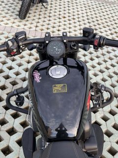 QJMOTOR 250 - фото 6