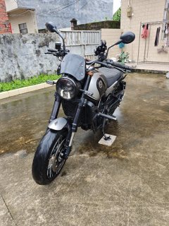 Benelli Leoncino 500 - фото 1