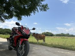 Honda CBR400R - фото 3