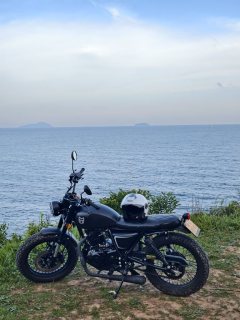 Qingqi U-Knight Bigfoot Crawler 250 cc - фото 3