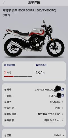 Zhangxue Motorcycles 500F - фото 4