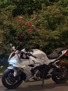 QJMOTOR Sai 600 680 cc - фото 2