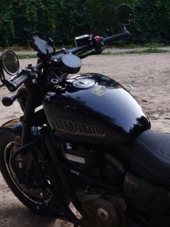 QJMOTOR Flash 350 - фото 3
