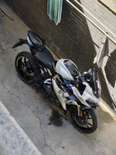 CFMOTO 250SR - фото 2