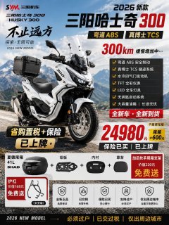 SYM Husky ADV300 - фото 2