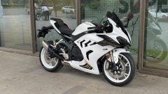 QJMOTOR 800 - фото 7