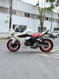 Cyclone RC401 400 cc - фото 4