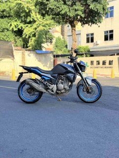 Zontes 250R - фото 5