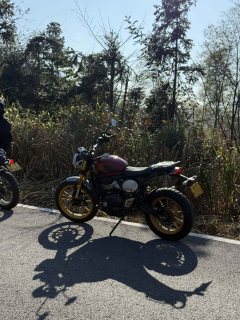 Triumph Scrambler 400 X - фото 10