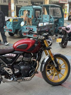 Triumph Scrambler 400 X - фото 3