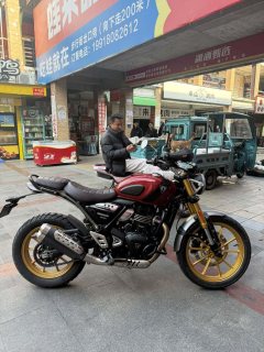 Triumph Scrambler 400 X - фото 9